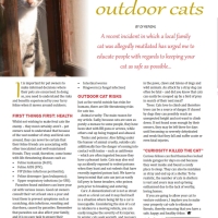 All About Cats Magazine Article - The dangers facing outdoor cats